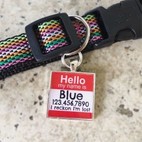 Hello Personalized Silver Dog ID Pet Tag (SHAPE: ROUND, HELLO CENTER DESIGN COLOR: LIME)